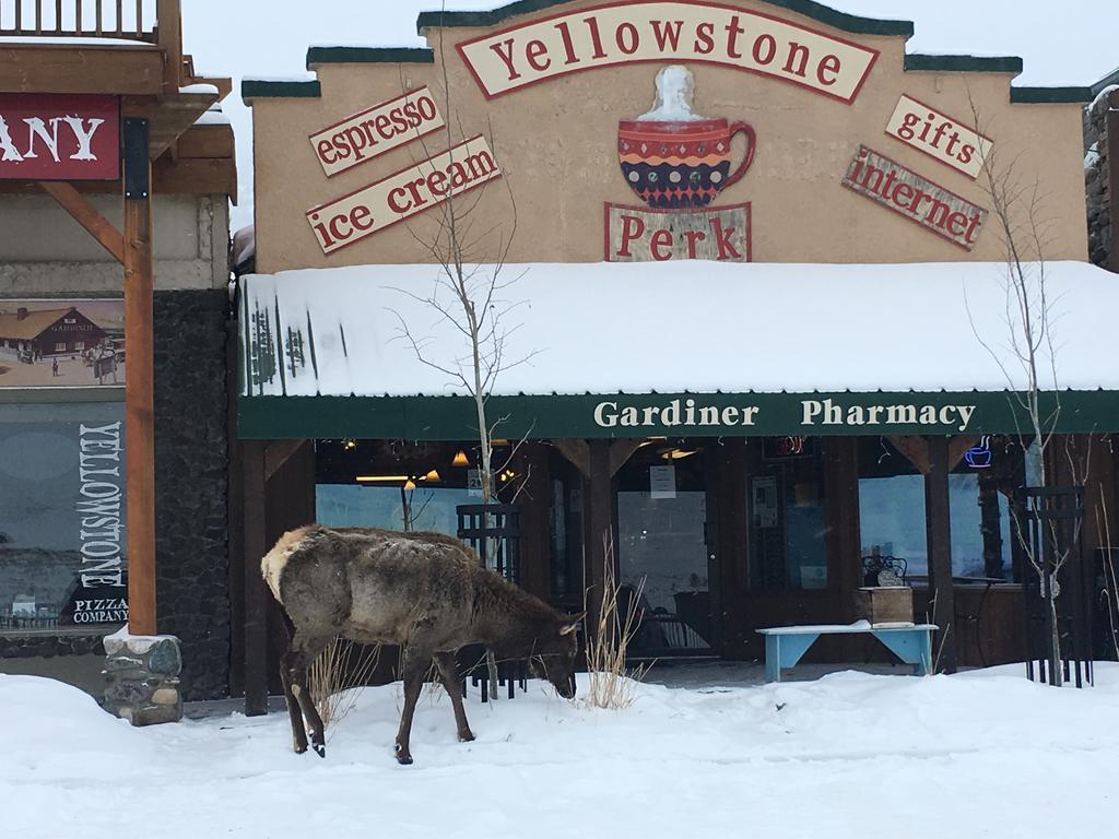 Park Hotel Yellowstone Suites Gardiner Exterior photo